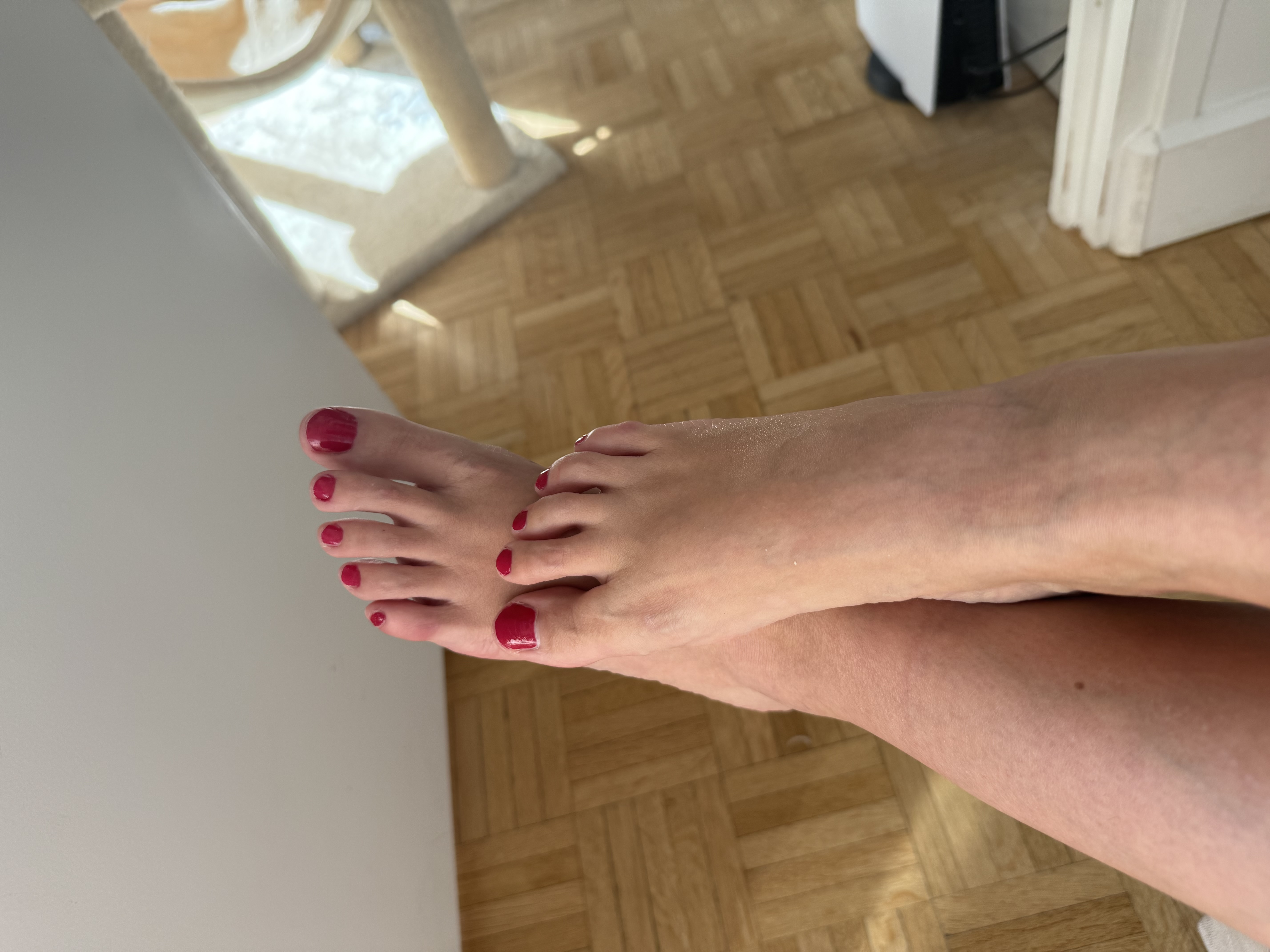 Photo de profil de Missjulia