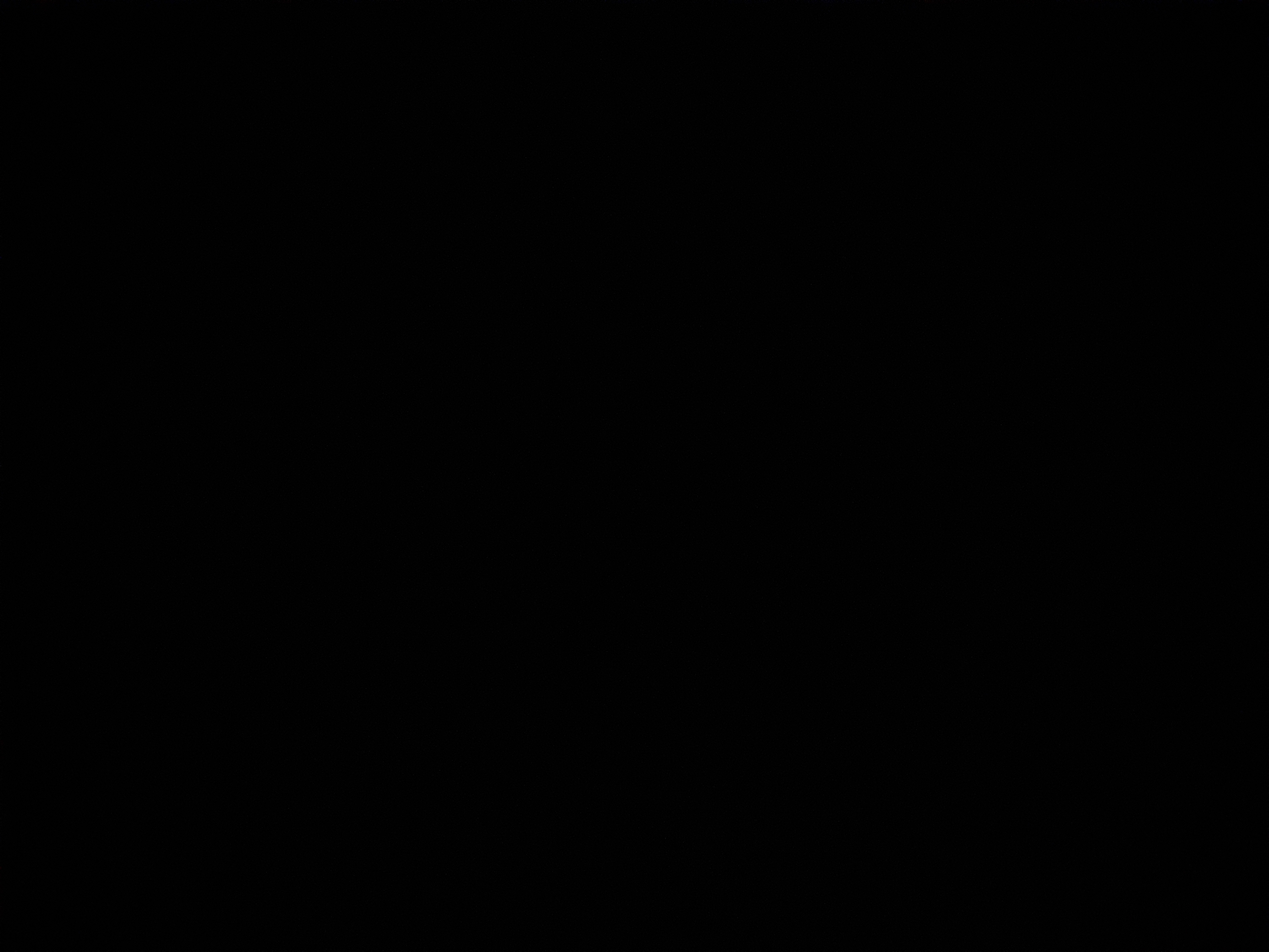 Termi87