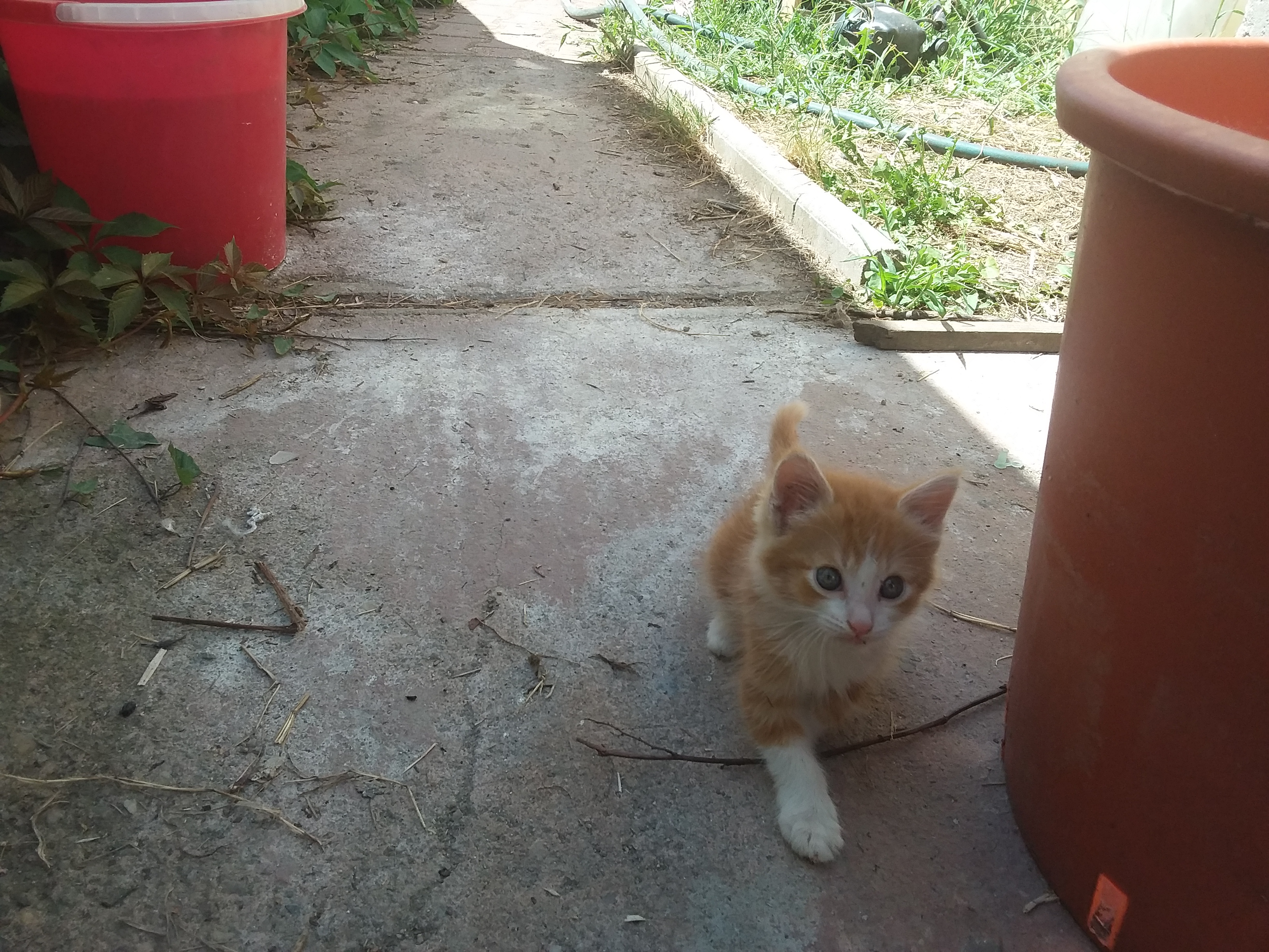 Photo de Anto