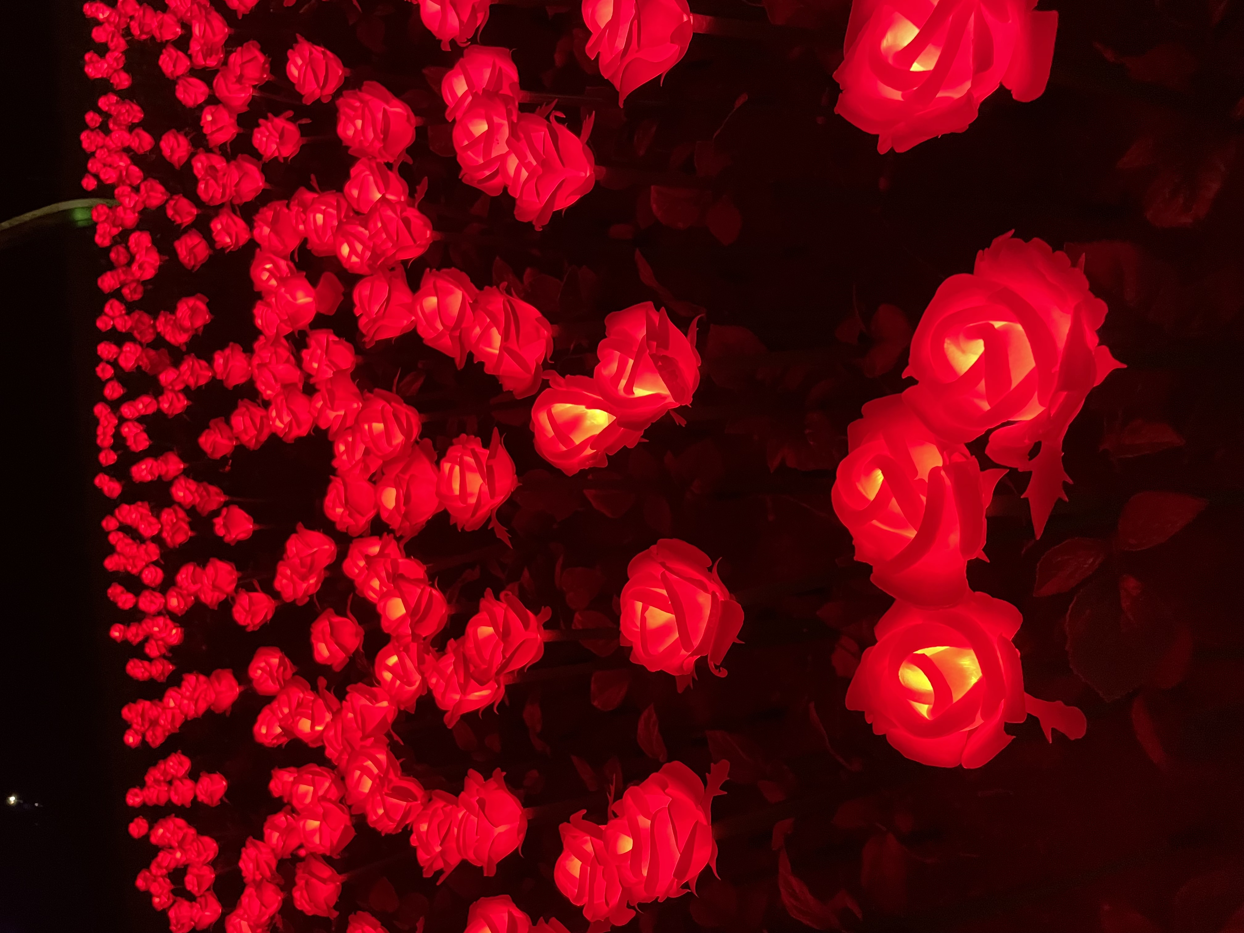 Rick650