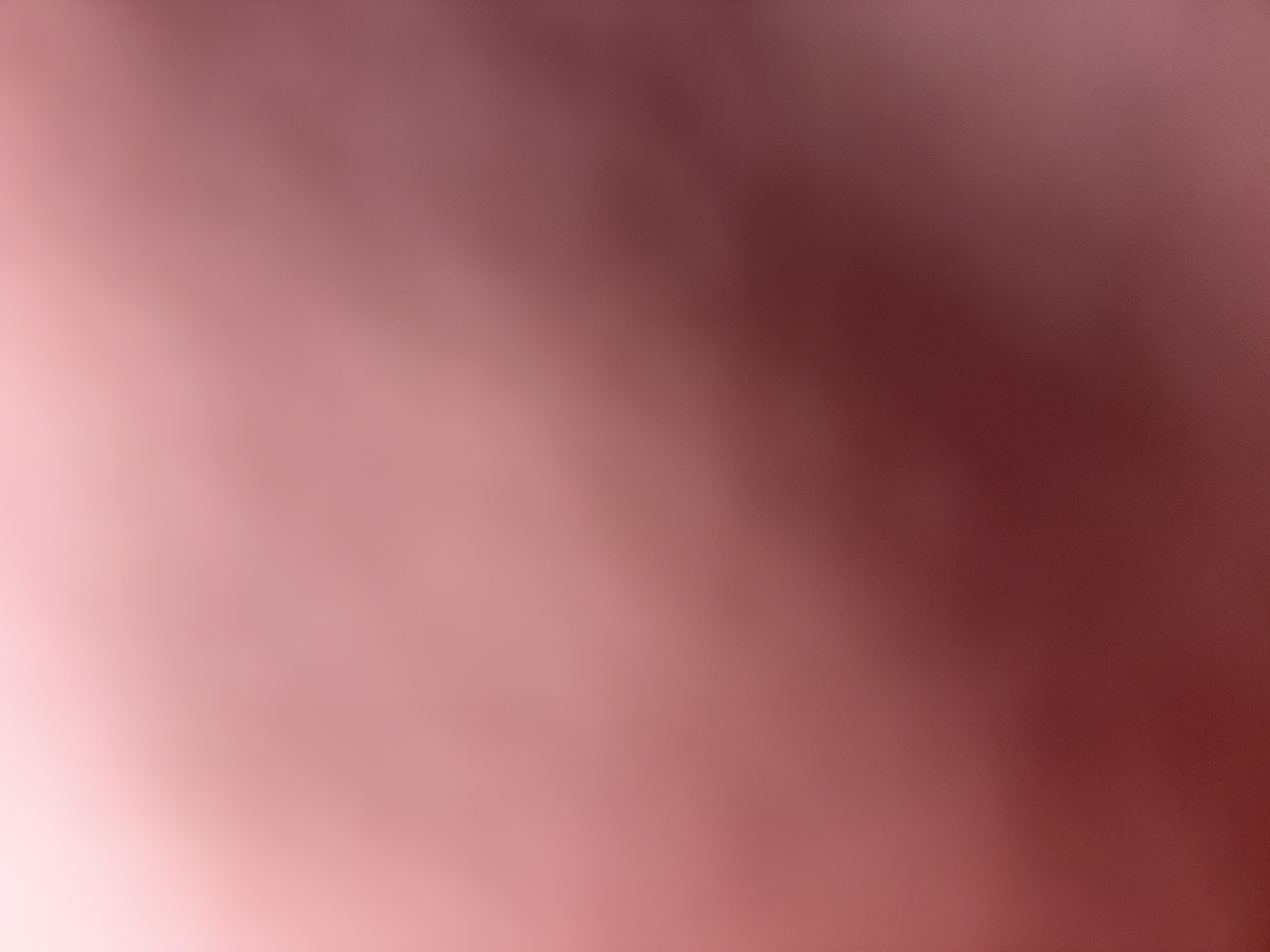 Photo de Pied41